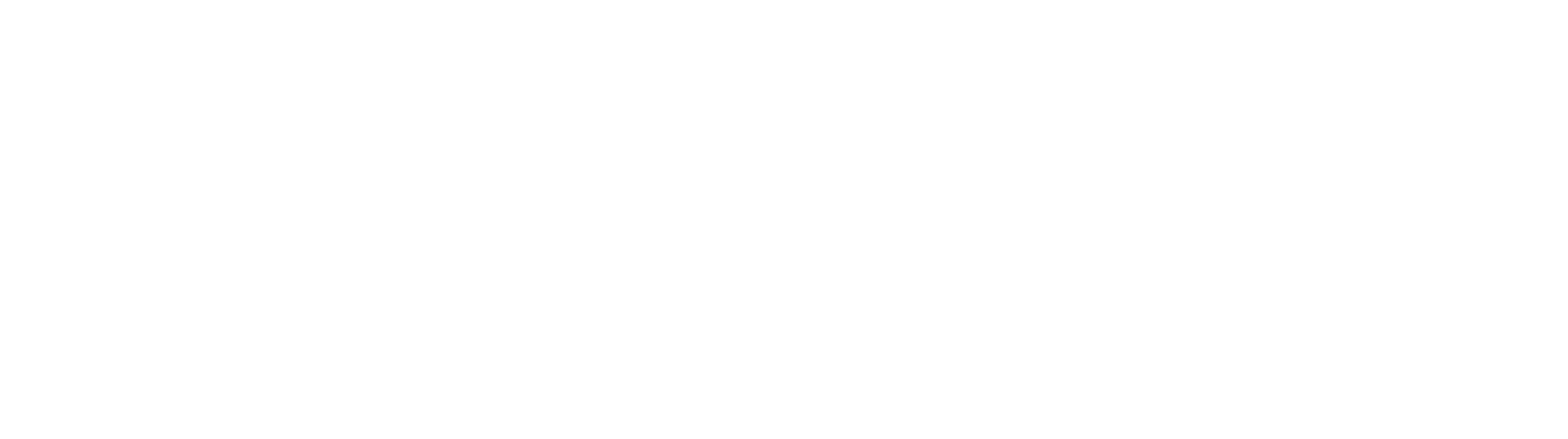logo_sassoon